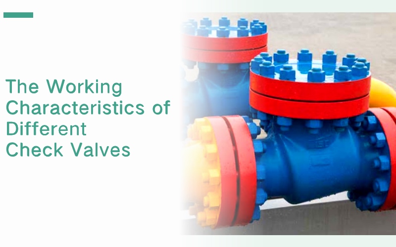 The Working Characteristics of Different Check Valves