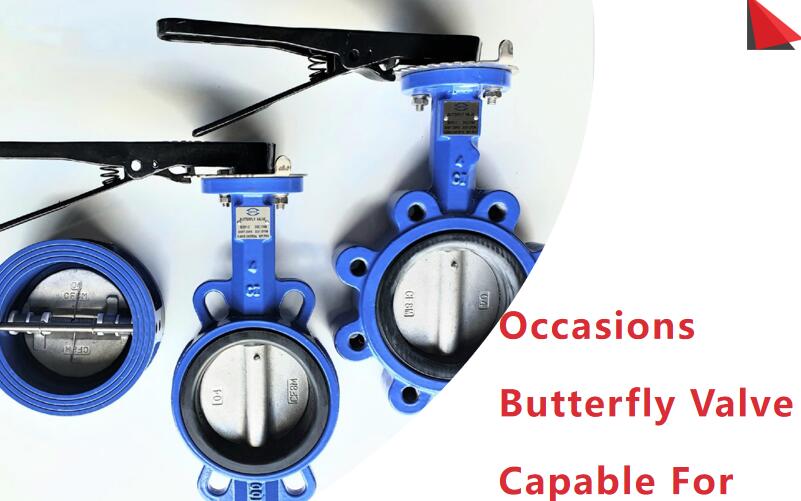 Occasions Butterfly Valve Capable For